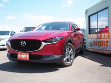 ＣＸ－３０