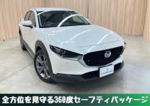 ＣＸ－３０