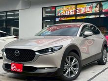 ＣＸ－３０