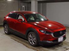 CX-30