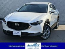 ＣＸ－３０