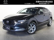 ＣＸ－３０