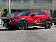 ＣＸ－３０