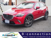 ＣＸ－３