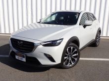 ＣＸ－３
