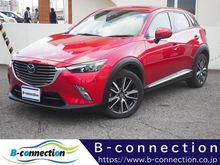 ＣＸ－３
