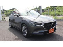 ＣＸ－３０