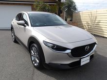 ＣＸ－３０