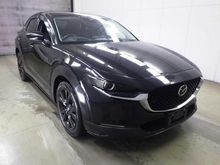 ＣＸ－３０