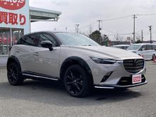 ＣＸ－３