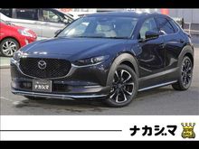 ＣＸ－３０