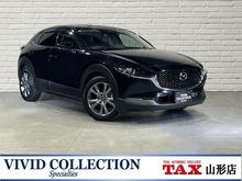 ＣＸ－３０