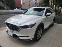 ＣＸ－８