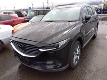 ＣＸ－８