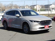 ＣＸ－８