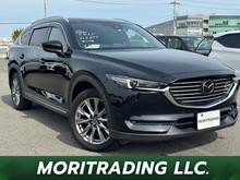 ＣＸ－８