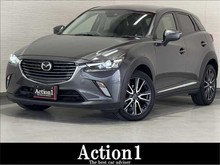 ＣＸ－３