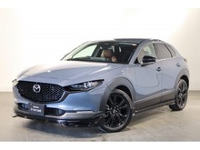 ＣＸ－３０