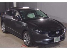 ＣＸ－３０