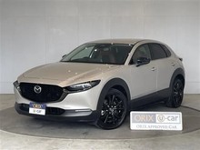 ＣＸ－３０